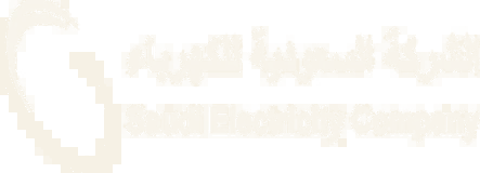 Saudi Electricity Company